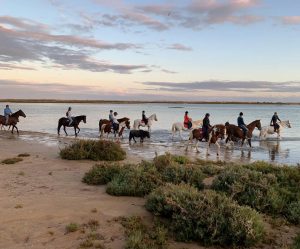 Paseos a caballo por la playa en el Puerto de Santa María y Algarve paseos a caballo por la playa en Jerez Cadiz Sanlucar y el Puerto