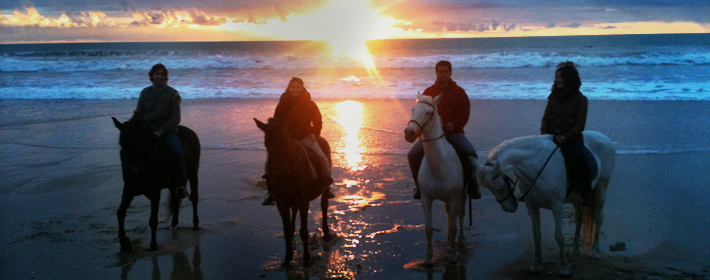 Paseos a caballo por la playa en el Puerto de Santa María y Algarve paseos a caballo por la playa en Jerez Cadiz Sanlucar y el Puerto