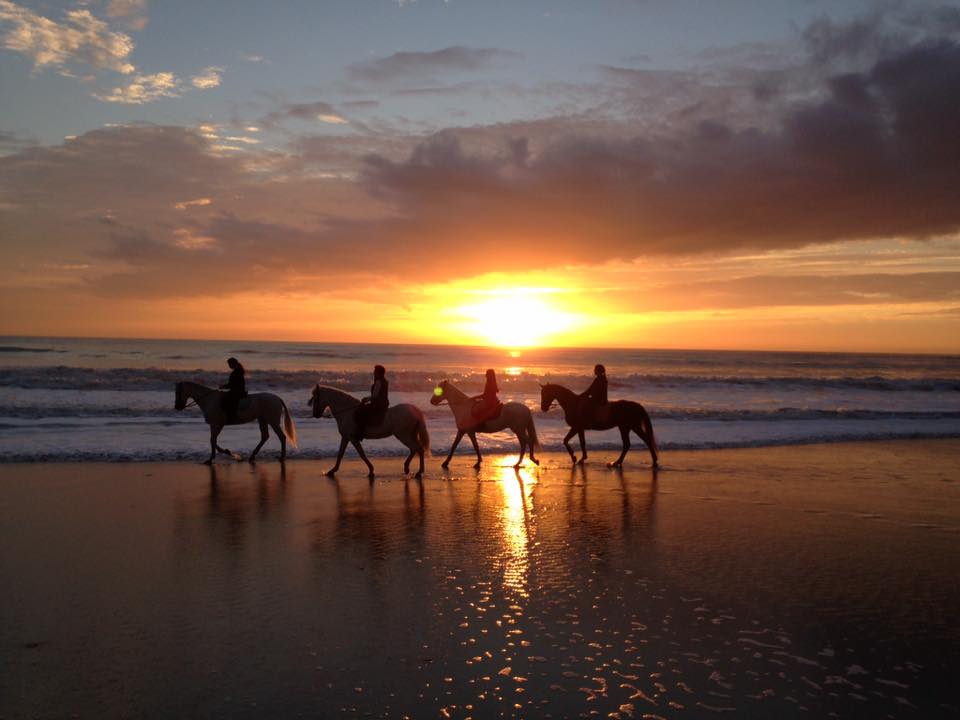 Paseos a caballo por la playa en el Puerto de Santa María y Algarve paseos a caballo por la playa en Jerez Cadiz Sanlucar y el Puerto